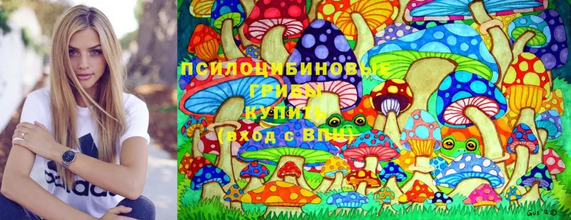 Галлюциногенные грибы Psilocybe  Вельск 